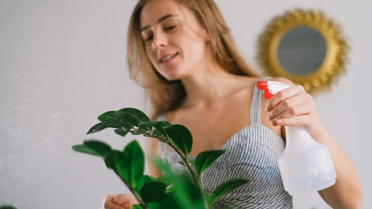 Ullus på stueplanter kan bli borte, også i mørketiden